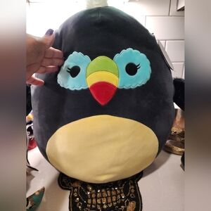 Sgiant toucan squishmallow